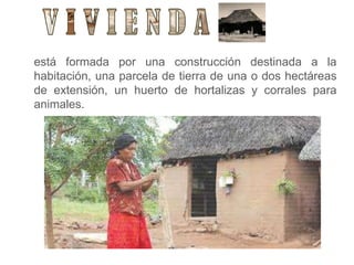 está formada por una construcción destinada a la
habitación, una parcela de tierra de una o dos hectáreas
de extensión, un huerto de hortalizas y corrales para
animales.
 