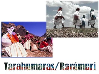 Los tarahumaras
  habitan en
  ranchos; su
  vivienda
  consiste en una
  casa-
  habitación, un
  granero y un
corral de ...