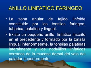 Expocision faringe