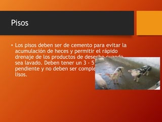 Pisos
• Los pisos deben ser de cemento para evitar la
acumulación de heces y permitir el rápido
drenaje de los productos de desecho cuando
sea lavado. Deben tener un 3 - 5 % de
pendiente y no deben ser completamente
lisos.
 