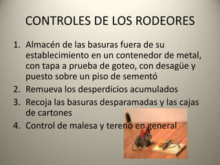 CONTROLES DE LOS RODEORESAlmacén de las basuras fuera de su establecimiento en un contenedor de metal, con tapa a prueba de goteo, con desagüe y puesto sobre un piso de sementóRemueva los desperdicios acumuladosRecoja las basuras desparamadas y las cajas de cartones Control de malesa y tereno en general  