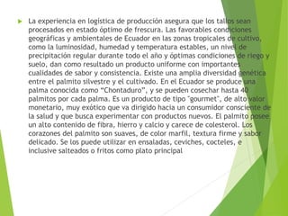  La experiencia en logística de producción asegura que los tallos sean
procesados en estado óptimo de frescura. Las favorables condiciones
geográficas y ambientales de Ecuador en las zonas tropicales de cultivo,
como la luminosidad, humedad y temperatura estables, un nivel de
precipitación regular durante todo el año y óptimas condiciones de riego y
suelo, dan como resultado un producto uniforme con importantes
cualidades de sabor y consistencia. Existe una amplia diversidad genética
entre el palmito silvestre y el cultivado. En el Ecuador se produce una
palma conocida como “Chontaduro”, y se pueden cosechar hasta 40
palmitos por cada palma. Es un producto de tipo "gourmet", de alto valor
monetario, muy exótico que va dirigido hacia un consumidor consciente de
la salud y que busca experimentar con productos nuevos. El palmito posee
un alto contenido de fibra, hierro y calcio y carece de colesterol. Los
corazones del palmito son suaves, de color marfil, textura firme y sabor
delicado. Se los puede utilizar en ensaladas, ceviches, cocteles, e
inclusive salteados o fritos como plato principal
 
