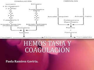HEMOS TASIA Y 
COAGULACIÓN 
Paola Ramírez Gaviria. 
 
