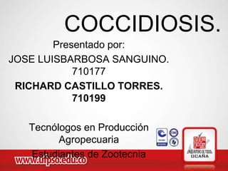 COCCIDIOSIS.
        Presentado por:
JOSE LUISBARBOSA SANGUINO.
            710177
 RICHARD CASTILLO TORRES.
            710199

   Tecnólogos en Producción
         Agropecuaria
   Estudiantes de Zootecnia
 