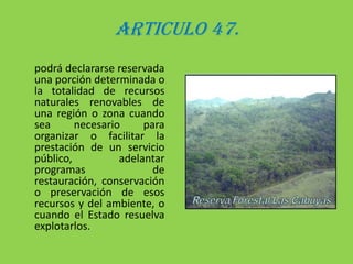 ARTICULO 47.podrá declararse reservada una porción determinada o la totalidad de recursos naturales renovables de una región o zona cuando sea necesario para organizar o facilitar la prestación de un servicio público, adelantar programas de restauración, conservación o preservación de esos recursos y del ambiente, o cuando el Estado resuelva explotarlos.
