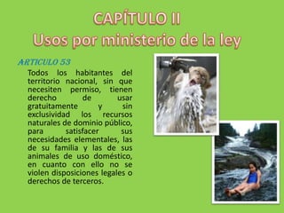CAPÍTULO IIUsos por ministerio de la leyARTICULO 53	Todos los habitantes del territorio nacional, sin que necesiten permiso, tienen derecho de usar gratuitamente y sin exclusividad los recursos naturales de dominio público, para satisfacer sus necesidades elementales, las de su familia y las de sus animales de uso doméstico, en cuanto con ello no se violen disposiciones legales o derechos de terceros.