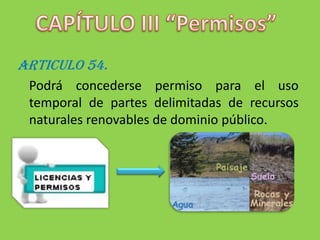 CAPÍTULO III “Permisos”ARTICULO 54.	Podrá concederse permiso para el uso temporal de partes delimitadas de recursos naturales renovables de dominio público.