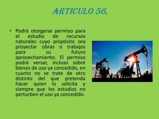 ARTICULO 56.Podrá otorgarse permiso para el estudio de recursos naturales cuyo propósito sea proyectar obras o trabajos para su futuro aprovechamiento. El permiso podrá versar, incluso sobre bienes de uso ya concedido, en cuanto no se trate de otro distinto del que pretenda hacer quien lo solicita y siempre que los estudios no perturben el uso ya concedido.