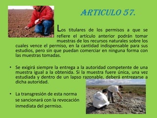 Los titulares tendrán prioridad sobre otros solicitantes de concesión, mientras esté vigente el permiso de estudio y, así mismo, tendrán exclusividad para hacer los estudios mientras dure el permiso.