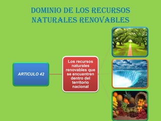 dominio de los recursos naturales renovables