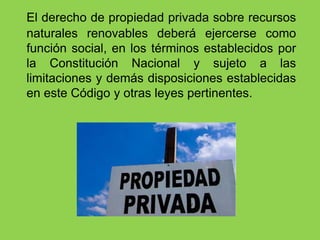 El derecho de propiedad privada sobre recursos naturales renovables deberá ejercerse como función social, en los términos establecidos por la Constitución Nacional y sujeto a las limitaciones y demás disposiciones establecidas en este Código y otras leyes pertinentes.