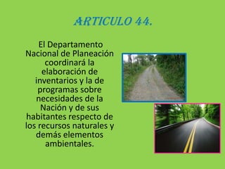 ARTICULO 44.     El Departamento Nacional de Planeación coordinará la elaboración de inventarios y la de programas sobre necesidades de la Nación y de sus habitantes respecto de los recursos naturales y demás elementos ambientales.