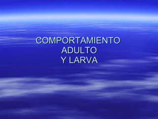 COMPORTAMIENTO  ADULTO  Y LARVA 