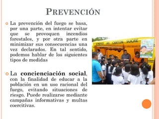 PREVENCIÓN
 La prevención del fuego se basa,
por una parte, en intentar evitar
que se provoquen incendios
forestales, y por otra parte en
minimizar sus consecuencias una
vez declarados. En tal sentido,
podemos hablar de los siguientes
tipos de medidas
 La concienciación social,
con la finalidad de educar a la
población en un uso racional del
fuego, evitando situaciones de
riesgo. Puede realizarse mediante
campañas informativas y multas
coercitivas.
 