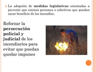  La adopción de medidas legislativas orientadas a
prevenir que existan personas o colectivos que puedan
sacar beneficio de los incendios.
Reforzar la
persecución
policial y
judicial de los
incendiarios para
evitar que puedan
quedar impunes
 