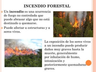 INCENDIO FORESTAL
 Un incendio es una ocurrencia
de fuego no controlada que
puede abrasar algo que no está
destinado a quemarse.
 Puede afectar a estructuras y a
seres vivos.
La exposición de los seres vivos
a un incendio puede producir
daños muy graves hasta la
muerte, generalmente
por inhalación de humo,
intoxicación y
posteriormente quemaduras
graves.
 