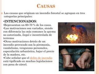 CAUSAS
 Las causas que originan un incendio forestal se agrupan en tres
categorías principales:
•INTENCIONADOS:
•Representan un 60-70 % de los casos.
•Las motivaciones son variadas, siendo
con diferencia las más comunes la quema
no autorizada, ilegal e incontrolada de
terrenos
•Otras motivaciones detrás de un
incendio provocado son la piromanía,
vandalismo, venganzas personales,
especulación urbanística, bajar el precio
de la madera, etc.
•Cabe señalar que el delito de incendio
está tipificado en muchas legislaciones
con pena de cárcel.
 