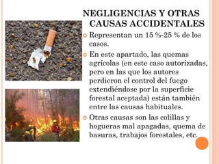 NEGLIGENCIAS Y OTRAS
CAUSAS ACCIDENTALES
 Representan un 15 %-25 % de los
casos.
 En este apartado, las quemas
agrícolas (en este caso autorizadas,
pero en las que los autores
perdieron el control del fuego
extendiéndose por la superficie
forestal aceptada) están también
entre las causas habituales.
 Otras causas son las colillas y
hogueras mal apagadas, quema de
basuras, trabajos forestales, etc.
 