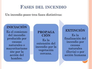 FASES DEL INCENDIO
INICIACIÓN
Es el comienzo
del incendio
producido por
causas
naturales o
mayoritariame
nte por la
acción del
hombre.
PROPAGA
CIÓN
Es la
extensión del
incendio por la
vegetación
cercana.
EXTINCIÓN
Es la
finalización del
incendio por
causas
naturales
(lluvia) o por
acción humana
Un incendio posee tres fases distintivas:
 