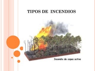 TIPOS DE INCENDIOS
 