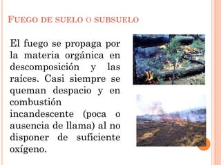 FUEGO DE SUELO O SUBSUELO
El fuego se propaga por
la materia orgánica en
descomposición y las
raíces. Casi siempre se
queman despacio y en
combustión
incandescente (poca o
ausencia de llama) al no
disponer de suficiente
oxígeno.
 