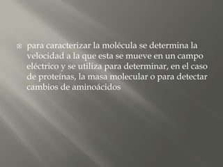  para caracterizar la molécula se determina la
velocidad a la que esta se mueve en un campo
eléctrico y se utiliza para determinar, en el caso
de proteínas, la masa molecular o para detectar
cambios de aminoácidos
 