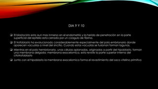 DIA 9 Y 10
 El blastocisto esta aun mas inmerso en el endometrio y la herida de penetración en la parte
superficial del epitelio esta cerrada por un coagulo de fibrina.
 El trofoblasto ha evolucionado considerablemente especialmente del polo embrionario donde
aparecen vacuolas a nivel del sincitio. Cuando estas vacuolas se fusionan forman lagunas.
 Mientras en el polo hembrionario, unas células aplanadas, originadas a partir del hipoblasto, forman
una membrana delgada: membrana exocelomica, esta reviste la parte superior interna del
citotrofoblasto
 Junto con el hipoblasto la membrana exocelomica forma el revestimiento del saco vitelino primitivo
 