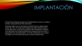 IMPLANTACIÓN
El blastocisto llega al lugar de implantación a los 5 o 6 días y
medio después de la fecundación.
El primer signo de crecimiento embrionario es detectado
entre las 10 y 15 horas de la liberación del embrión de la
zona pelucida, cuando las células del trofoblasto exhiben
una abrupta actividad proliferativa seguida por la unión y
expansión en el endometrio, en este momento es cuando
se debe unir al endometrio por su polo embrionario.
 