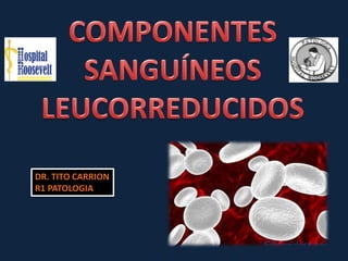 DR. TITO CARRION
R1 PATOLOGIA
 