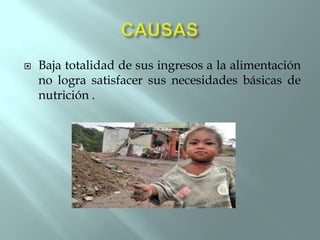 

Baja totalidad de sus ingresos a la alimentación
no logra satisfacer sus necesidades básicas de
nutrición .

 