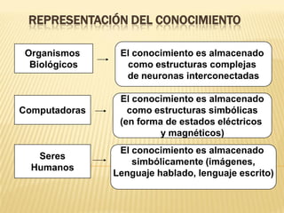 REPRESENTACIÓN DEL CONOCIMIENTO
Organismos
Biológicos
Computadoras
Seres
Humanos
El conocimiento es almacenado
como estructuras complejas
de neuronas interconectadas
El conocimiento es almacenado
como estructuras simbólicas
(en forma de estados eléctricos
y magnéticos)
El conocimiento es almacenado
simbólicamente (imágenes,
Lenguaje hablado, lenguaje escrito)
 