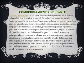 Edward Thorndike (1874-1949) fue uno de los pioneros en el estudio
del condicionamiento instrumental. Para ello, ideó sus denominadas
“cajas de solución de problemas”, que eran jaulas de las que los gatos (que
eran los animales con los que trabajaba) podían escapar mediante acciones
simples como manipular un cordón, presionar una palanca o pisar una
plataforma. Como incentivo para resolver el problema, el gato podía ver y
oler que fuera de la caja había comida, pero no podía alcanzarla. Al
principio, el gato comenzaba a hacer movimientos azarosos, hasta que
casualmente resolvía el problema, por ejemplo tirando de la polea que
abría la jaula. Sin embargo, cada vez que Thorndike metía al gato en la
jaula, tardaba menos en salir. Esto se debía a que se estaba produciendo
un condicionamiento operante: la conducta de tirar de la polea estaba
siendo reforzada por su consecuencia
 