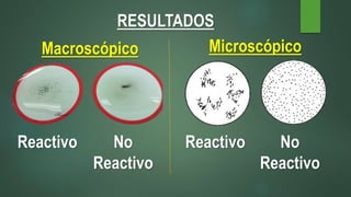 RESULTADOS
Reactivo No
Reactivo
Reactivo No
Reactivo
Macroscópico Microscópico
 