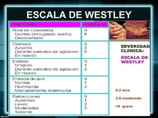 ESCALA DE WESTLEY
 