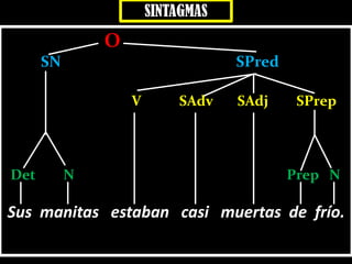 O
SN SPred
V SAdv SAdj SPrep
Det N Prep N
Sus manitas estaban casi muertas de frío.
SINTAGMAS
 