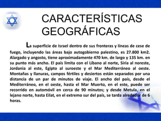La superficie de Israel dentro de sus fronteras y líneas de cese de
fuego, incluyendo las áreas bajo autogobierno palestino, es 27.800 km2.
Alargado y angosto, tiene aproximadamente 470 km. de largo y 135 km. en
su punto más ancho. El país limita con el Líbano al norte, Siria al noreste,
Jordania al este, Egipto al suroeste y el Mar Mediterráneo al oeste.
Montañas y llanuras, campos fértiles y desiertos están separados por una
distancia de un par de minutos de viaje. El ancho del país, desde el
Mediterráneo, en el oeste, hasta el Mar Muerto, en el este, puede ser
recorrido en automóvil en cerca de 90 minutos; y desde Metula, en el
lejano norte, hasta Eilat, en el extremo sur del país, se tarda alrededor de 6
horas.
CARACTERÍSTICAS
GEOGRÁFICAS
 