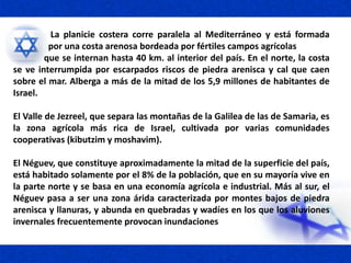 La planicie costera corre paralela al Mediterráneo y está formada
por una costa arenosa bordeada por fértiles campos agrícolas
que se internan hasta 40 km. al interior del país. En el norte, la costa
se ve interrumpida por escarpados riscos de piedra arenisca y cal que caen
sobre el mar. Alberga a más de la mitad de los 5,9 millones de habitantes de
Israel.
El Valle de Jezreel, que separa las montañas de la Galilea de las de Samaria, es
la zona agrícola más rica de Israel, cultivada por varias comunidades
cooperativas (kibutzim y moshavim).
El Néguev, que constituye aproximadamente la mitad de la superficie del país,
está habitado solamente por el 8% de la población, que en su mayoría vive en
la parte norte y se basa en una economía agrícola e industrial. Más al sur, el
Néguev pasa a ser una zona árida caracterizada por montes bajos de piedra
arenisca y llanuras, y abunda en quebradas y wadíes en los que los aluviones
invernales frecuentemente provocan inundaciones
 