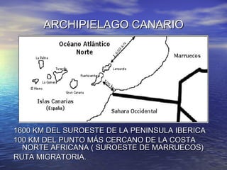ARCHIPIELAGO CANARIO 1600 KM DEL SUROESTE DE LA PENINSULA IBERICA  100 KM DEL PUNTO MÁS CERCANO DE LA COSTA NORTE AFRICANA ( SUROESTE DE MARRUECOS) RUTA MIGRATORIA. 