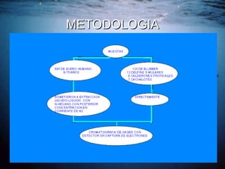 METODOLOGIA 