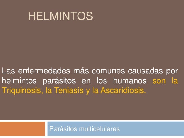 enfermedades mas comunes causadas paracitos helmitos enfermedades mas comunes causadas paracitos helmitos