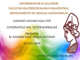 GANADO VACUNO (GAV-173)
CATEDRATICO: ING. VICTOR RODRIGUEZ
PRESENTA:
Br. RAMIREZ DIAZ, EDGAR ANTONIO
CICLO I-2014
SAN VICENTE, 16 DE JUNIO DE 2014
 