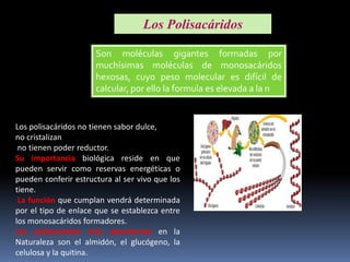 Los Polisacáridos
Son moléculas gigantes formadas por
muchísimas moléculas de monosacáridos
hexosas, cuyo peso molecular es difícil de
calcular, por ello la formula es elevada a la n

Los polisacáridos no tienen sabor dulce,
no cristalizan
no tienen poder reductor.
Su importancia biológica reside en que
pueden servir como reservas energéticas o
pueden conferir estructura al ser vivo que los
tiene.
La función que cumplan vendrá determinada
por el tipo de enlace que se establezca entre
los monosacáridos formadores.
Los polisacáridos más abundantes en la
Naturaleza son el almidón, el glucógeno, la
celulosa y la quitina.

 