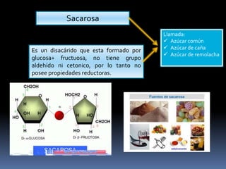 Sacarosa

Es un disacárido que esta formado por
glucosa+ fructuosa, no tiene grupo
aldehído ni cetonico, por lo tanto no
posee propiedades reductoras.

Llamada:
 Azúcar común
 Azúcar de caña
 Azúcar de remolacha

 