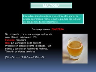 MALTOSA
Llamada azúcar de malta, se encuentra en los granos de
cebada germinada o malta, la cual se produce por hidrolisis
del almidón mediante un fermento.
Enzima presente : DIASTASA
Se presenta como un cuerpo solido de
color blanco , soluble en H2O
Función: reductora
Uso: En la industria de la cerveza
Presente en cereales como la cebada. Pan
blanco y pastas son fuentes de maltosa.
También en ciertas verduras
(C6H10O5) n+n / 2 H2O = n/2 C12H22O11

 