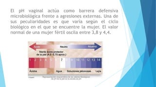 El pH vaginal actúa como barrera defensiva
microbiológica frente a agresiones externas. Una de
sus peculiaridades es que varía según el ciclo
biológico en el que se encuentre la mujer. El valor
normal de una mujer fértil oscila entre 3,8 y 4,4.
 