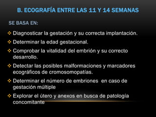 B. ECOGRAFÍA ENTRE LAS 11 Y 14 SEMANAS

SE BASA EN:
 Diagnosticar la gestación y su correcta implantación.
 Determinar la edad gestacional.
 Comprobar la vitalidad del embrión y su correcto
  desarrollo.
 Detectar las posibles malformaciones y marcadores
  ecográficos de cromosomopatías.
 Determinar el número de embriones en caso de
  gestación múltiple
 Explorar el útero y anexos en busca de patología
  concomitante
 
