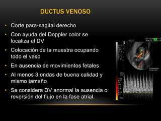 DUCTUS VENOSO

• Corte para-sagital derecho
• Con ayuda del Doppler color se
  localiza el DV
• Colocación de la muestra ocupando
  todo el vaso
• En ausencia de movimientos fetales
• Al menos 3 ondas de buena calidad y
  mismo tamaño
• Se considera DV anormal la ausencia o
  reversión del flujo en la fase atrial.
 