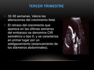 TERCER TRIMESTRE

• 32-36 semanas, Valora las
  alteraciones del crecimiento fetal.
• El retraso del crecimiento que
  aparece en las últimas semanas
  del embarazo se denomina CIR
  asimétrico o tipo II, y se caracteriza
  en primer lugar por un
  adelgazamiento (estancamiento de
  los diámetros abdominales).
 