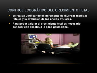 CONTROL ECOGRÁFICO DEL CRECIMIENTO FETAL
• se realiza verificando el incremento de diversas medidas
  fetales y la evolución de los anejos ovulares.
• Para poder valorar el crecimiento fetal es necesario
  conocer con exactitud la edad gestacional.
 