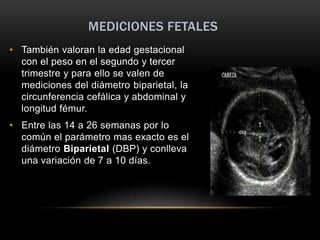 MEDICIONES FETALES
• También valoran la edad gestacional
  con el peso en el segundo y tercer
  trimestre y para ello se valen de
  mediciones del diámetro biparietal, la
  circunferencia cefálica y abdominal y
  longitud fémur.
• Entre las 14 a 26 semanas por lo
  común el parámetro mas exacto es el
  diámetro Biparietal (DBP) y conlleva
  una variación de 7 a 10 días.
 